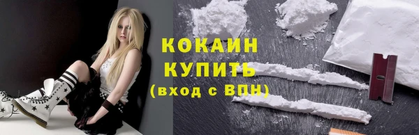 сатива Елизово