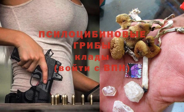 меф Алексин