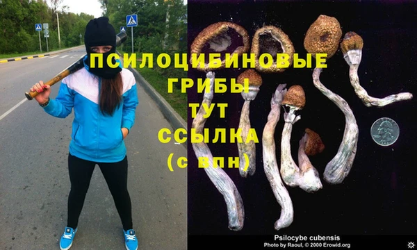 меф Алексин