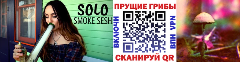 наркотики  Асбест  Галлюциногенные грибы Psilocybine cubensis 